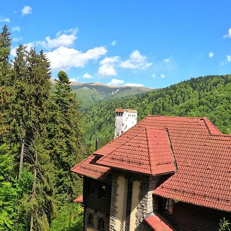 Отель Casa Adina Синая Экстерьер фото