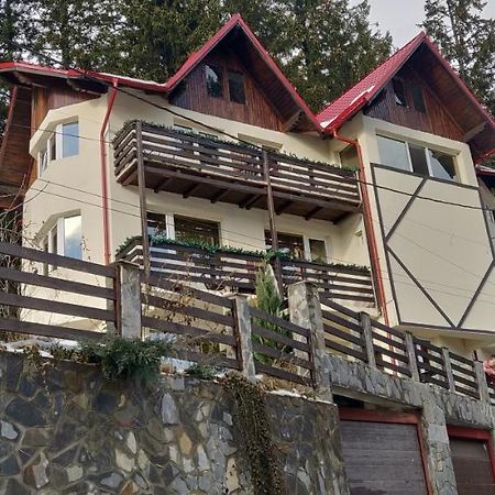 Отель Casa Adina Синая Экстерьер фото