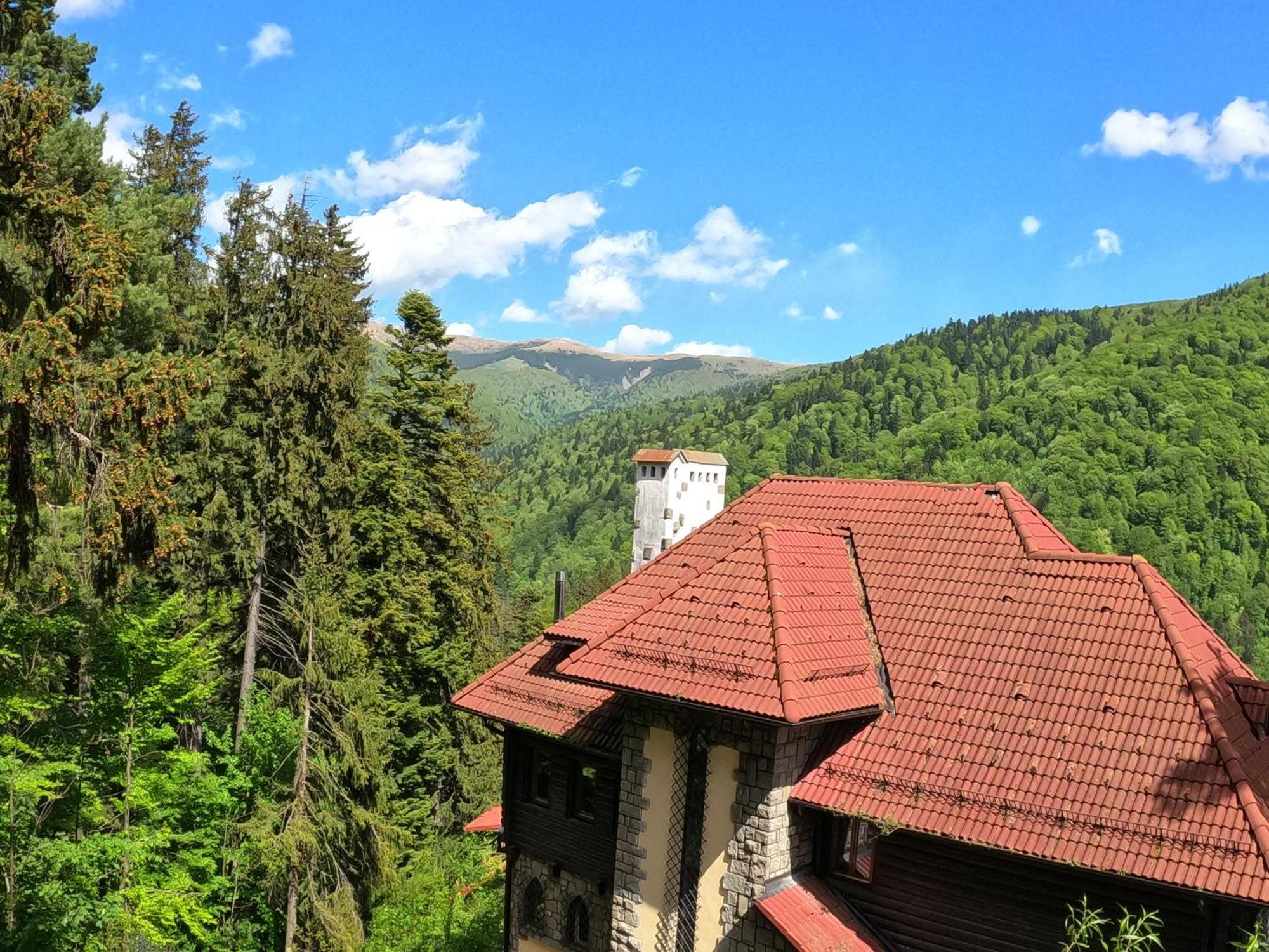 Отель Casa Adina Синая Экстерьер фото