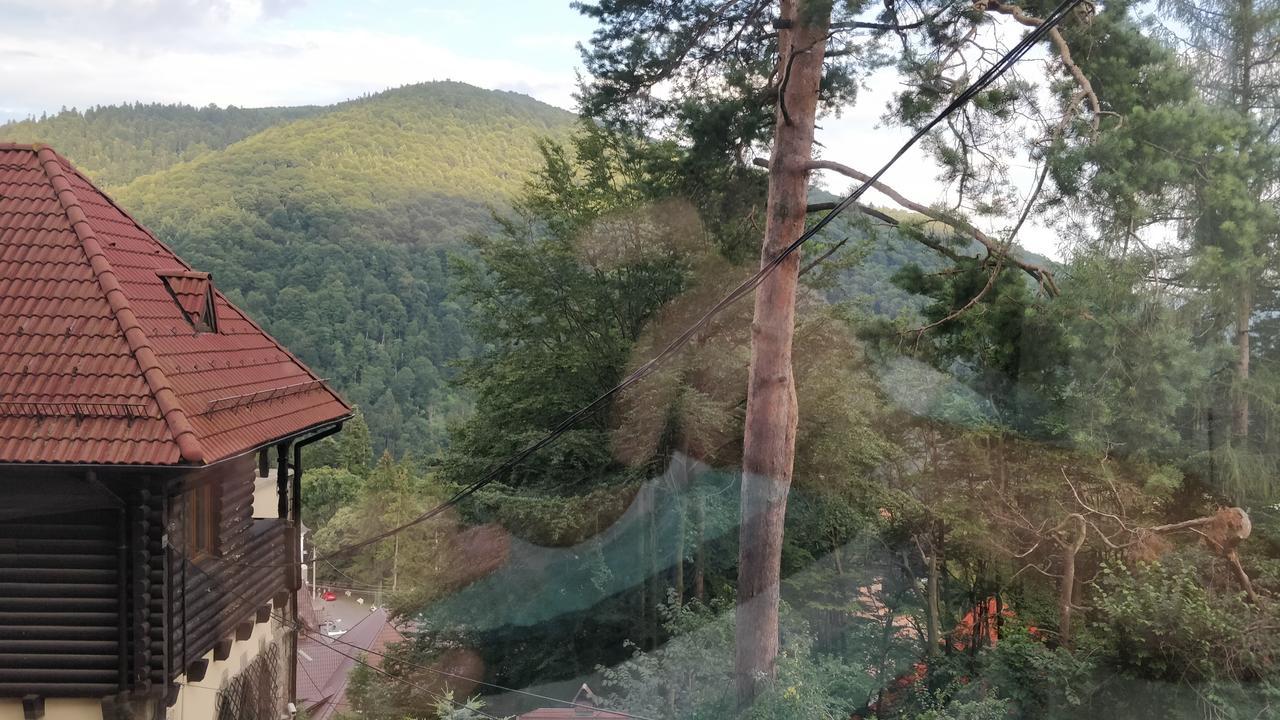 Отель Casa Adina Синая Экстерьер фото